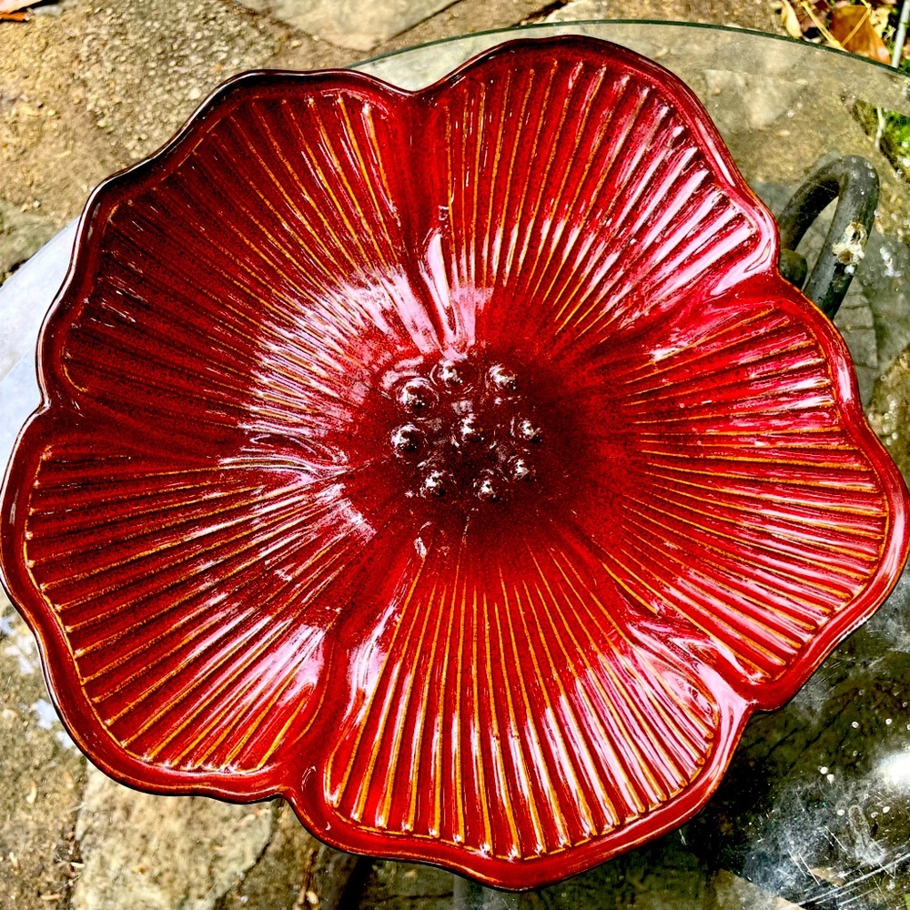NEW Pfaltzgraff Burnt Red, hand painted “Serena” 12” Poppy Stoneware Plate